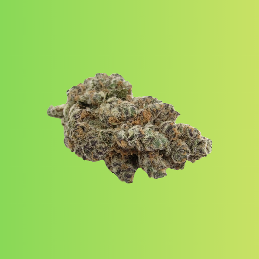 10 Strains to Try for Fall 2025